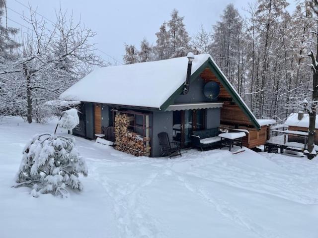 Wyspadrzewodomek Kamionna  Exterior foto